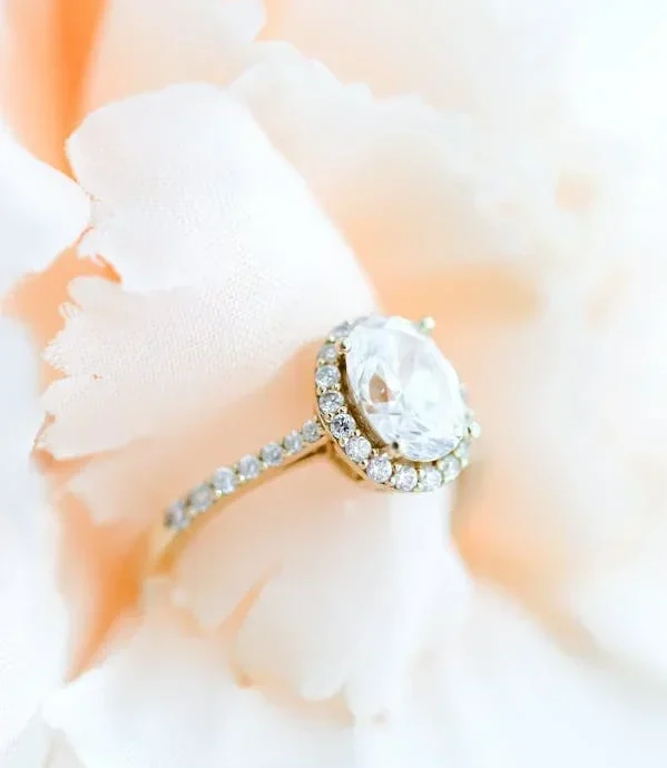 pexels-photo-15871523